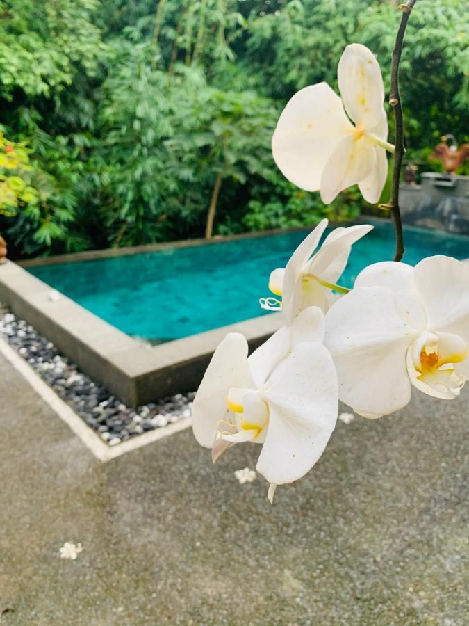Gek House Ubud Esterno foto