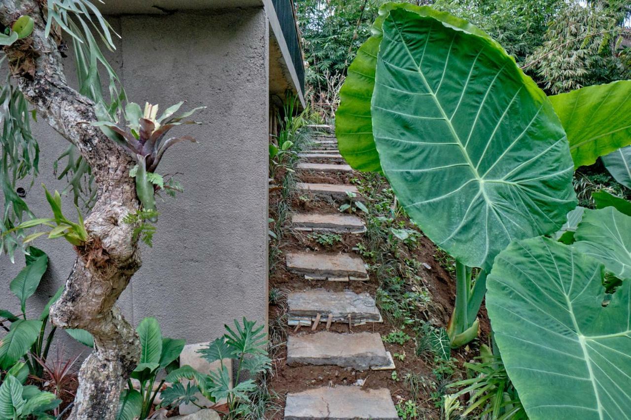 Gek House Ubud Esterno foto